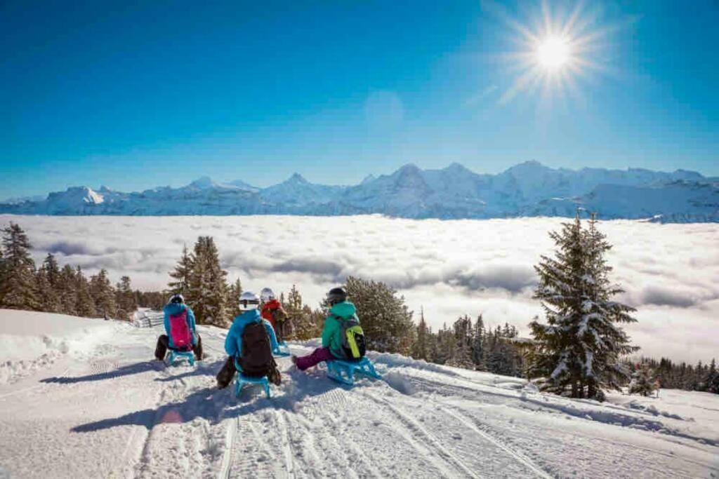 Chalet Mignon - Your Vacation Oasis At Lake Brienz Bönigen 외부 사진