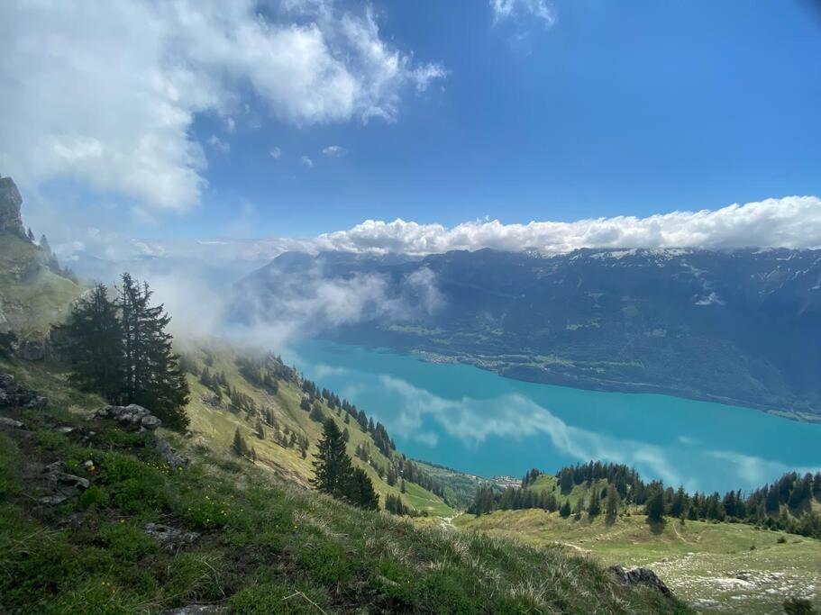 Chalet Mignon - Your Vacation Oasis At Lake Brienz Bönigen 외부 사진